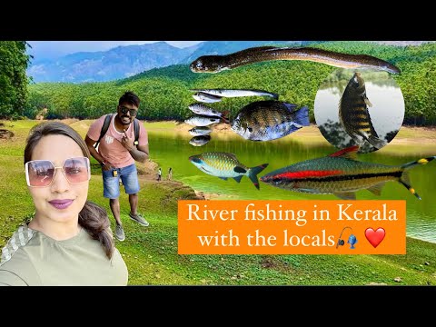 Catching Aquarium Fish In Kerala River with the locals | Denison barbs😍 #riverfishing #giveaway