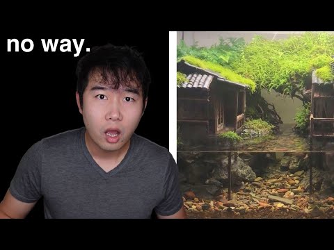 this Aquascape BLEW MY MIND | Fish Tank Review 217