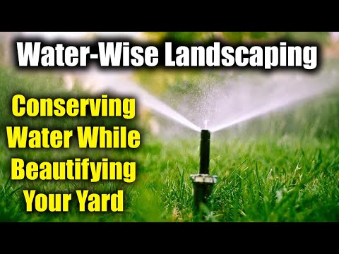 Water-Wise Landscaping: Conserving Water while Beautifying Your Yard