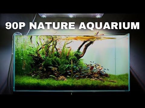 The ScaperLine 90: EPIC Step By Step 3ft Aquascape Tutorial