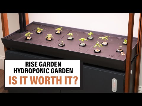 Rise Gardens Hydroponic Garden Review & Tour – Is it Better than Outdoor Gardening?