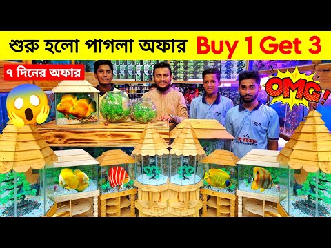 Aquarium Price In Bangladesh। Aquarium Fish Price In katabon। Aquarium Fish Price In Bangladesh 2023