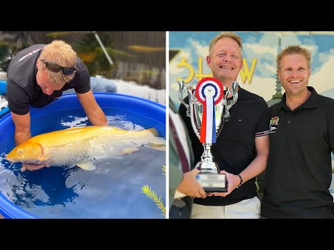 Has Mark Won a Prize with his Koi Fish? 🏆