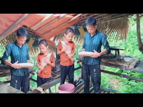 Catching Garden Pond Fish #fish #cottage #life | cottage life Lvt