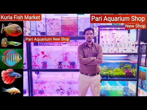 Pari Aquarium Shop || Kurla fush Market || Pari Aquarium New Shop New fish Stock || Betta, Guppy 🐡🐠