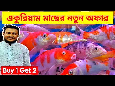 Aquarium Price In Bangladesh। Aquarium Fish Price In katabon। Aquarium Fish Price In Bangladesh 2023