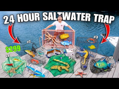 24 HOUR FISH TRAP Catches TONS of FISH For My SALTWATER POND!