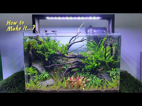 langkah membuat aquascape natural