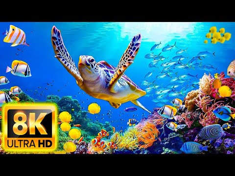 Aquarium 8K VIDEO ULTRA HD – The Best Sea Animals for Relaxing, Soothing Music – 8K Video