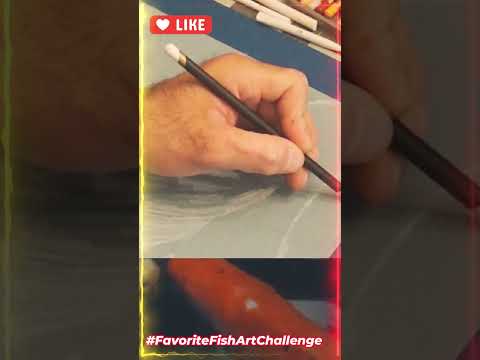 Capturing the Beauty of a Koi Fish with Pastels: A Beginner's Guide