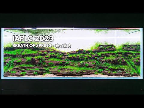 Contest Aquascape Start to Finish – IAPLC 2023 – Rank 366