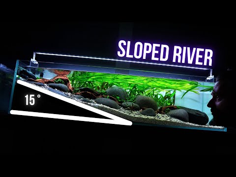 I made INCREDIBLE SLOPED RIVER TANK | HILLSTREAM AQUARIUM Step by step AQUASCAPING TUTORIAL | EP1