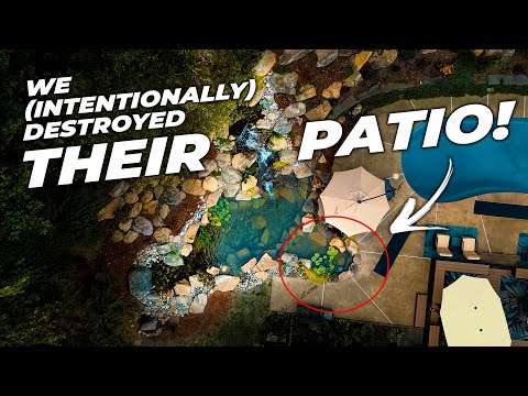 The Dog-Rescue Pond is Getting the Skimmer and Huge Waterfall! | Part 2
