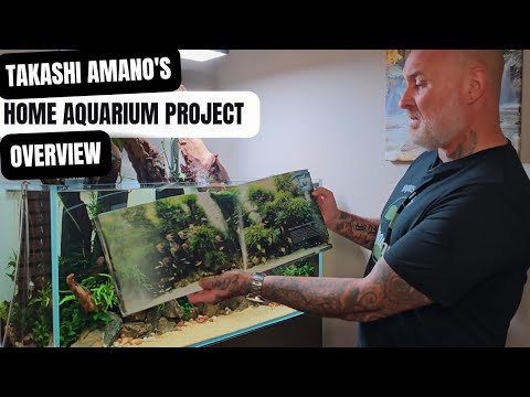 DEEP DIVE INTO MY LATEST AQUASCAPE | SCALED DOWN VERSION OF THE MOST FAMOUS AQUASCAPE IN THE WORLD