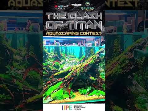 The Clash Of Titan Aquascaping Contest 2023