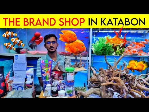 Aquarium Price In Bangladesh। Aquarium Accessories Price In katabon। Aquarium Fish