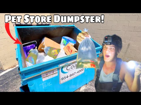 I Found PET STORE DUMPSTER Filled With AQUARIUM FISH!