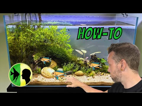 River Aquascape for Apistogramma!! (RE-SCAPE)