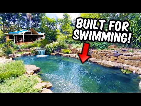 Natural SWIMMING Pool/Pond with Aquarium Fish