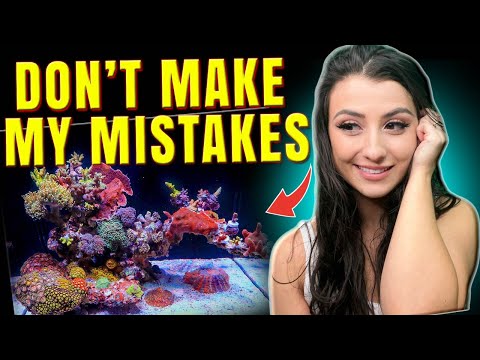 Lessons I've Learned Aquascaping Reef Tanks!