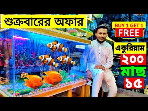 Aquarium Price In Bangladesh। Aquarium Fish Price In katabon। Aquarium Fish Price In Bangladesh