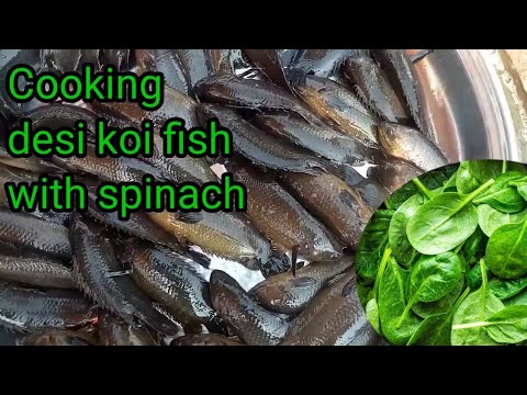 Cooking desi koi fish with spinach//Steamed desi koi fish with spinach//koi fish//Bangladeshi food