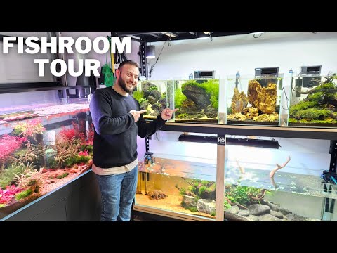 MUST SEE Aquascapes in this FULL Fishroom Tour