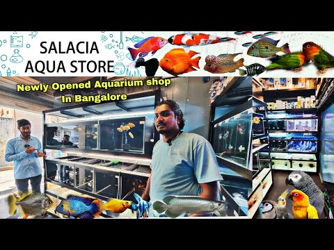 SALACIA AQUA STORE Newly opened,  Full Shop tour With Aquarium fish Prices,  ( Konakunta Bangalore )