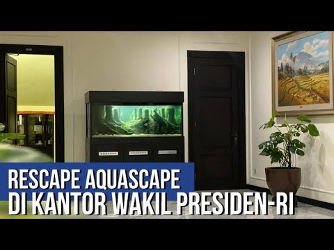 RESCAPE AQUASCAPE TEMA NATURAL MENJADI TEMA JUNGLE DI KANTOR WAPRES-RI