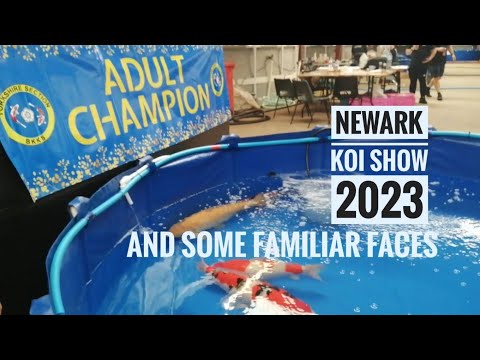 the Newark koi show 2023 and some familiar faces #koifish #koilovers