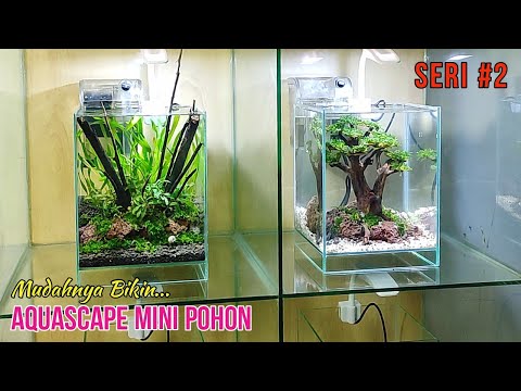 Belajar aquascape jadi lebih mudah, serial kedua membuat aquascape mini tema pohon | aqua one design