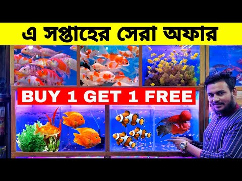 Aquarium Price In Bangladesh। Aquarium Fish Price In katabon। Aquarium Fish Price In Bangladesh