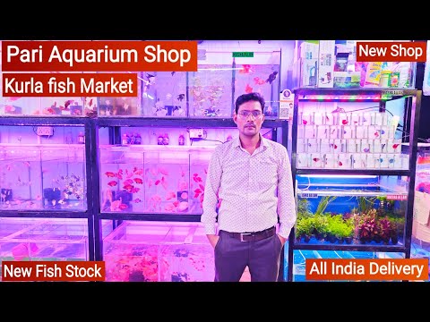 Pari Aquarium Shop, Kurla fish Market, Mumbai || New Shop New fish Stock || Guppy, Shrimp, Cichlid🦐🐠