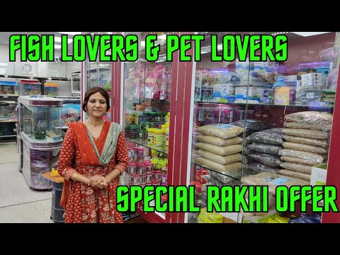 Fish lovers Aquarium Fish Shop Full Tour | Special Rakhi Offer | One stop solution for fish lovers