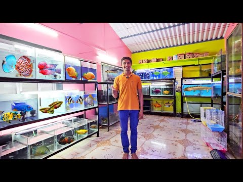 Most Popular Aquarium Fish Shop In Ratnagiri | Suyash Aquarium Fish Shop