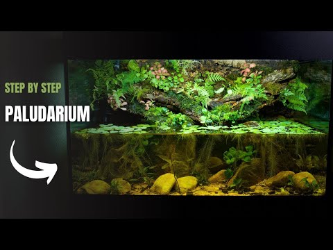 Building an EPIC PALUDARIUM the EASY WAY!