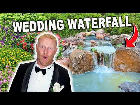 WHY This Pond Is BETTER Than a Wedding