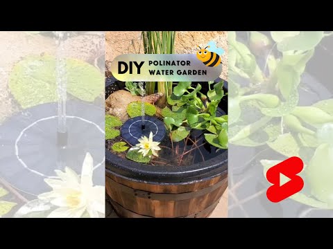 DIY Whiskey Barrel Water Garden For Pollinators – Short