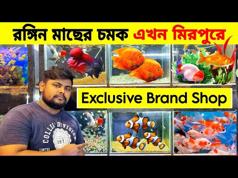 Aquarium Price In Bangladesh। Aquarium Fish Price In Mirpur। Aquarium Fish Price In Bangladesh