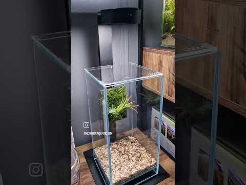 nano displays #fishtank #nanotank #aquascape #plantedaquarium #terrarium