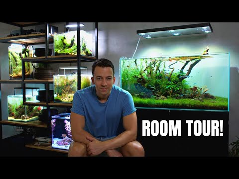 MJ Aquascaping ROOM TOUR! Updates On ALL My Tanks!