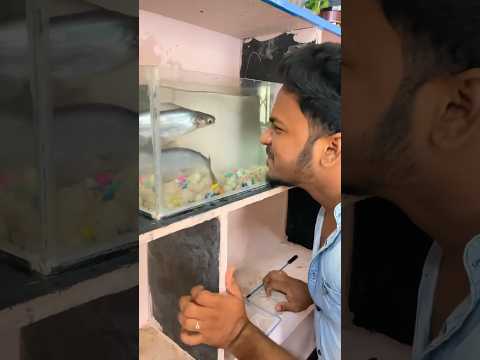 🤯My Big Shark Fish Tank🦈Clean Pannalam😇 #shorts #trending #fishtank #viral #aquarium