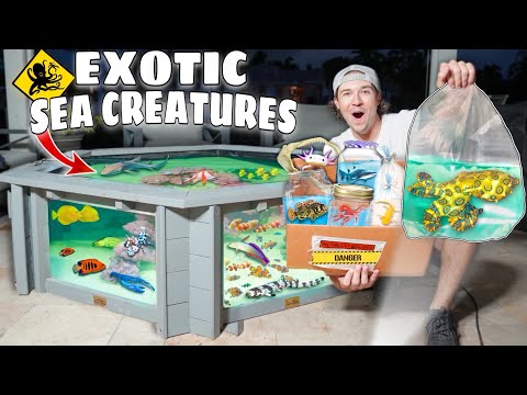 Finally Adding EXOTIC FISH To My SALTWATER POND!! *night unboxing*