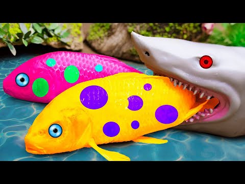 STOP MOTION ASMR | Cute Animals Koi Fish Go Fishing And Get Chased By A Great White Shark Primitive