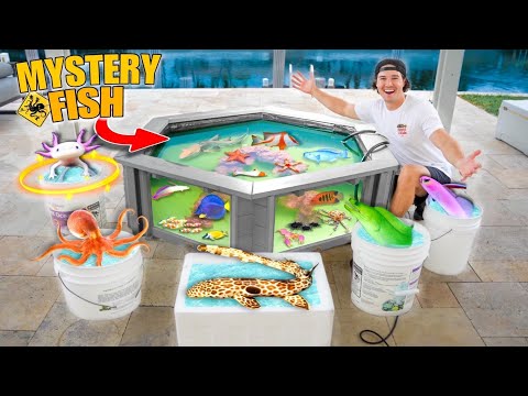 Stocking My SALTWATER POND With Tons of EXOTIC SEA CREATURES! (Shopping Spree)