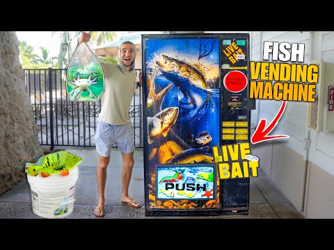 We BOUGHT FISH From A VENDING MACHINE To CATCH POND MONSTERS!