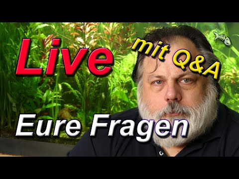 LIVE – mit Q&A – Eure Fragen, meine Antworten – #40 – Deine Aquarium Community hilft