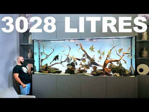 AQUARIUMS OF THE RICH: Huge High End Aquarium Design