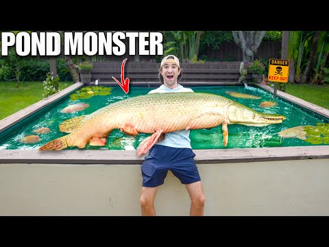 Finally Adding Rare POND MONSTER To My 4000 Gallon POND!