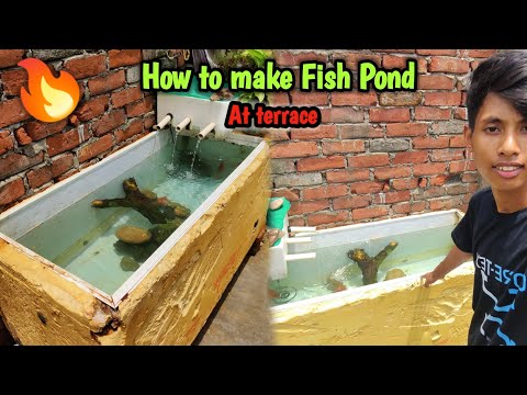 How to make Big Fish Pond at terrace 🤩 | Fridge Box Pond Idea 🔥| low price